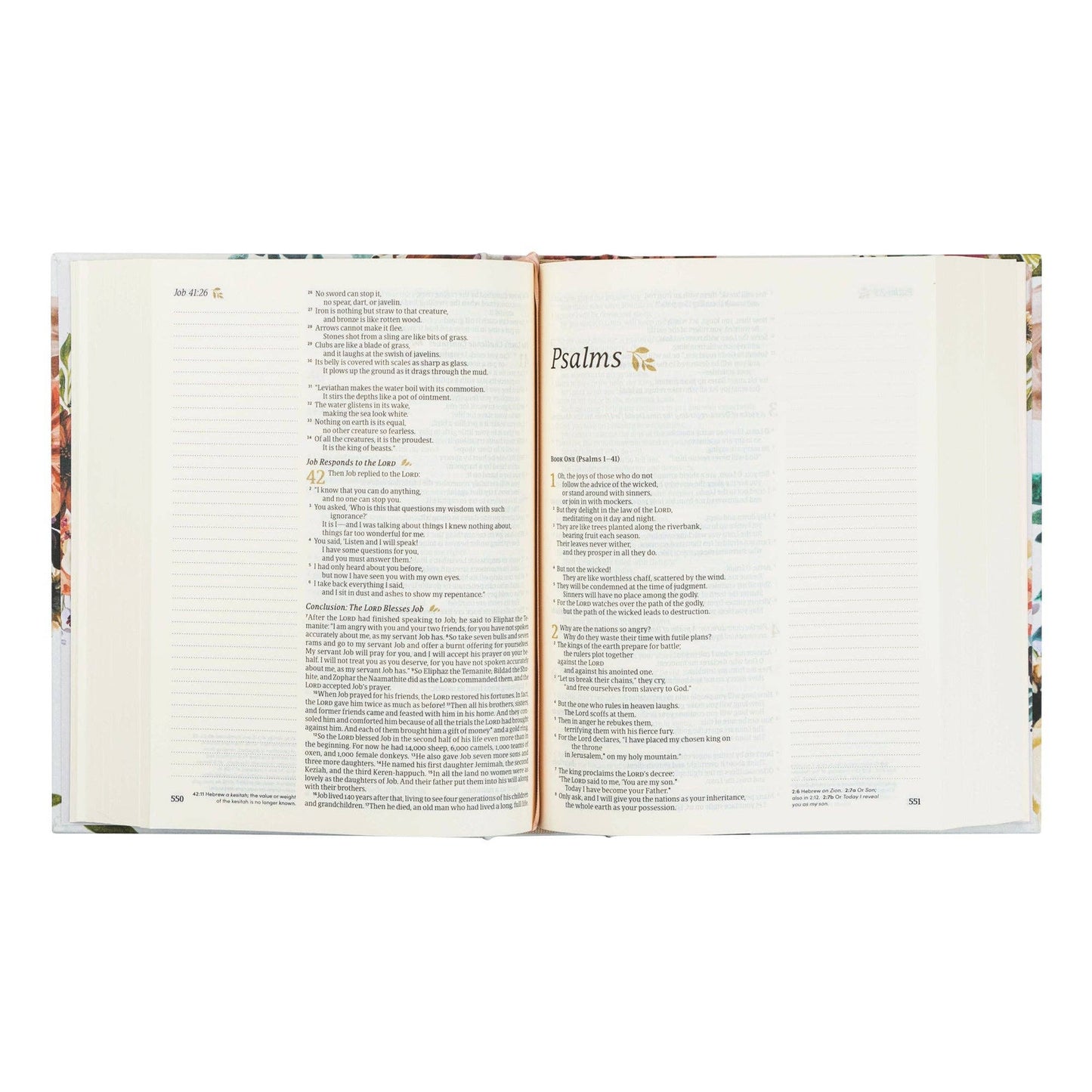 NLT Notetaking Bible : Madrid