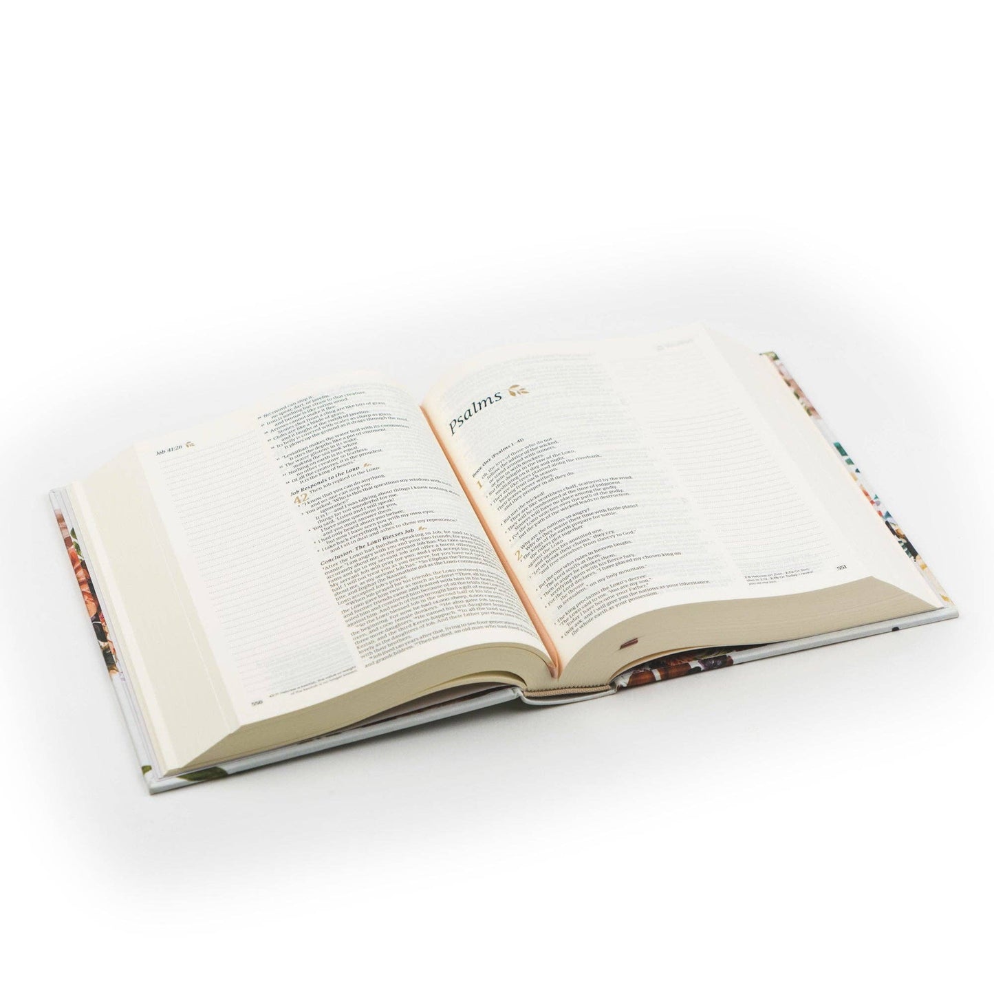 NLT Notetaking Bible : Madrid