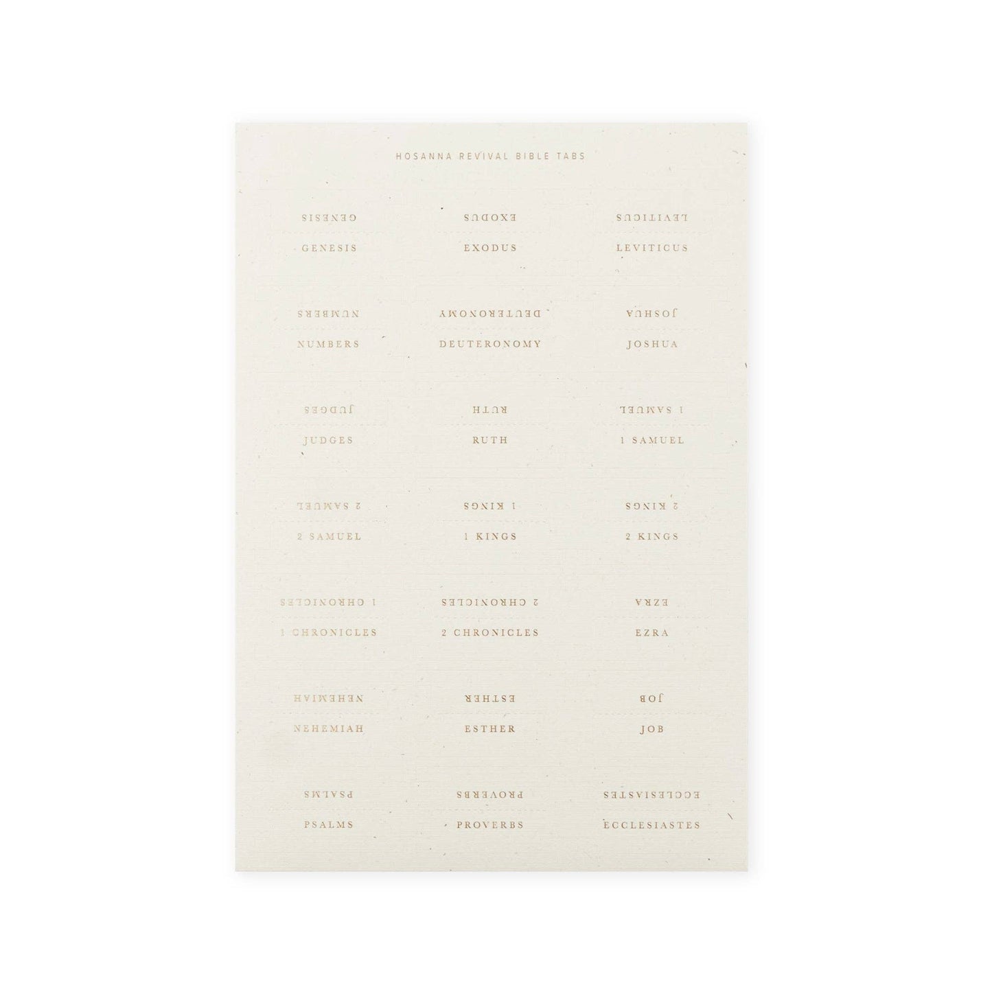 Bible Tabs: Gold Foiling