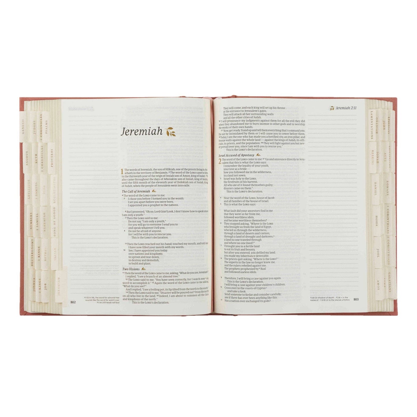 Bible Tabs: Gold Foiling