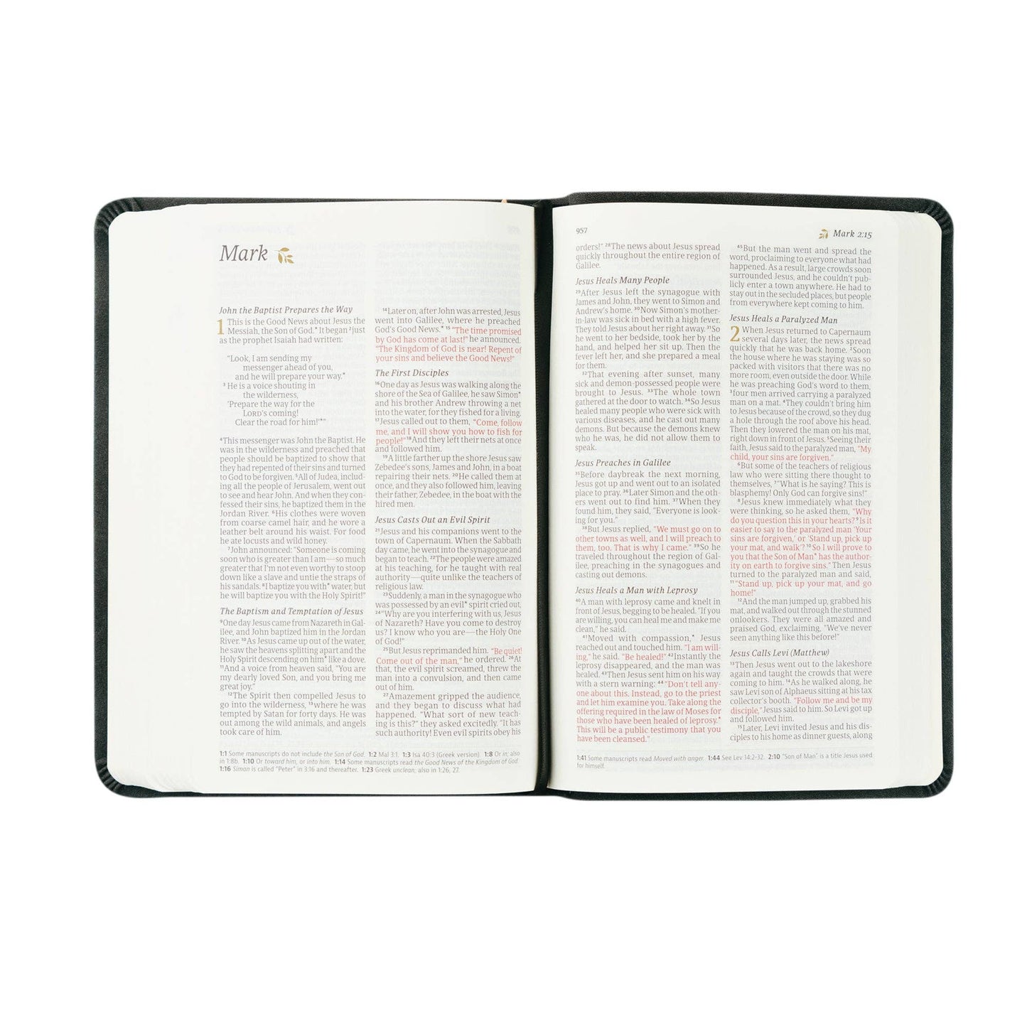 NLT Compact Bible: Jerusalem