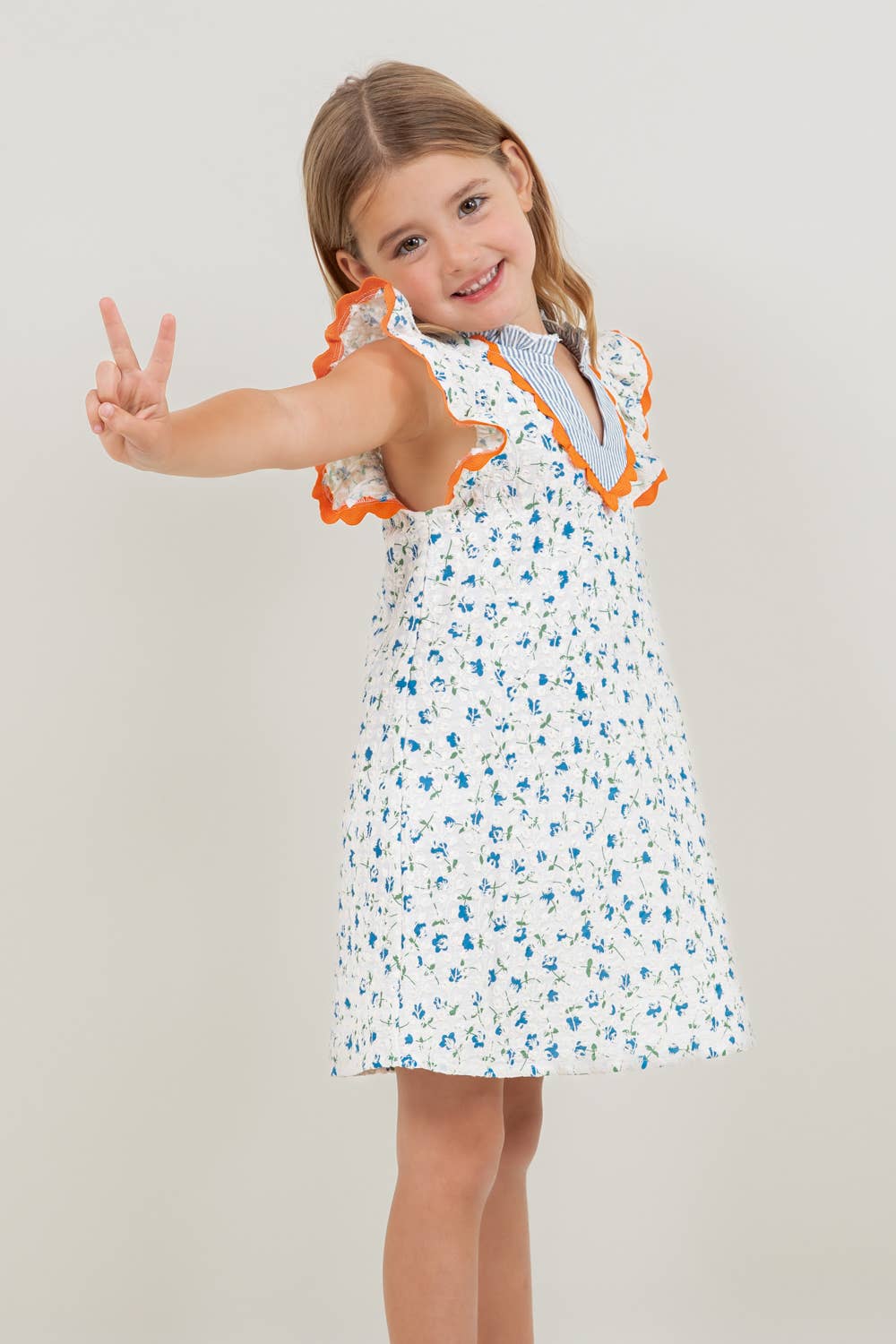 Floral Embroidered Striped Dress