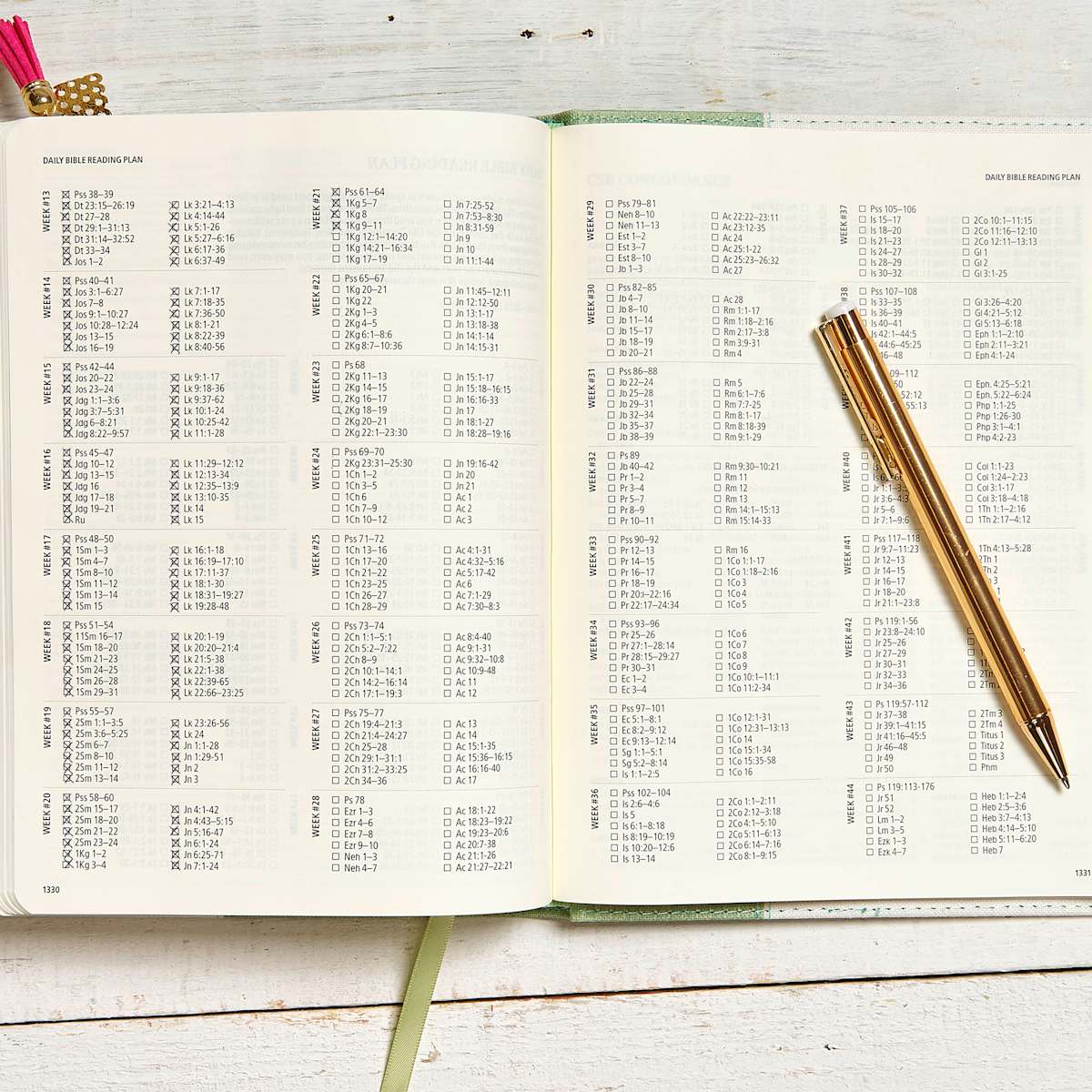 CSB Floral Sage Bible