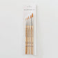 Watercolor paintbrush set of five wood brushes