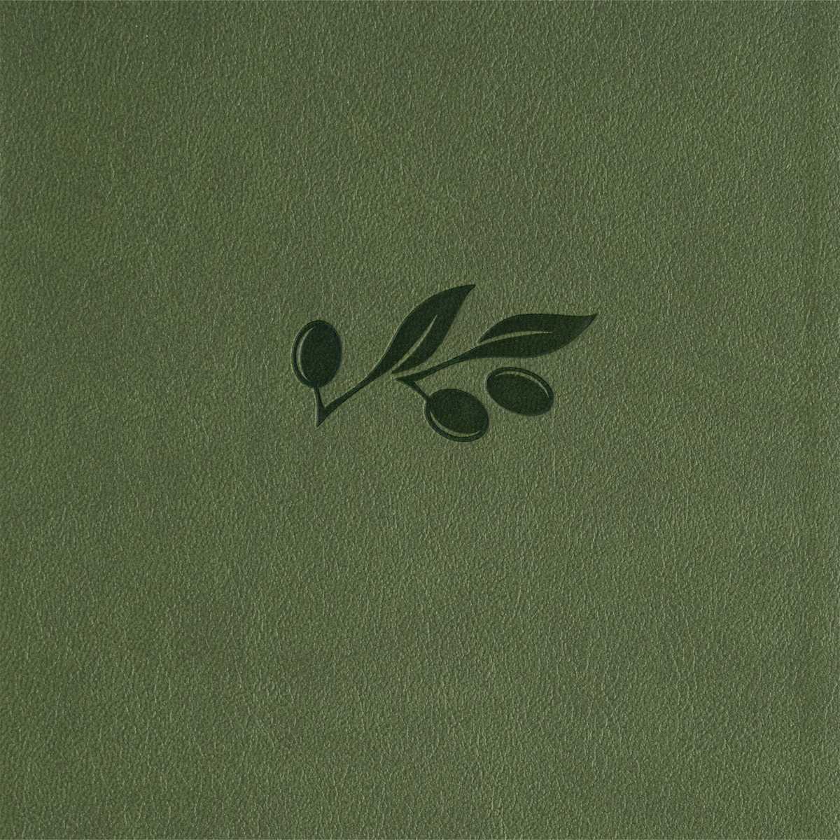 CSB Olive Leather Touch Bible