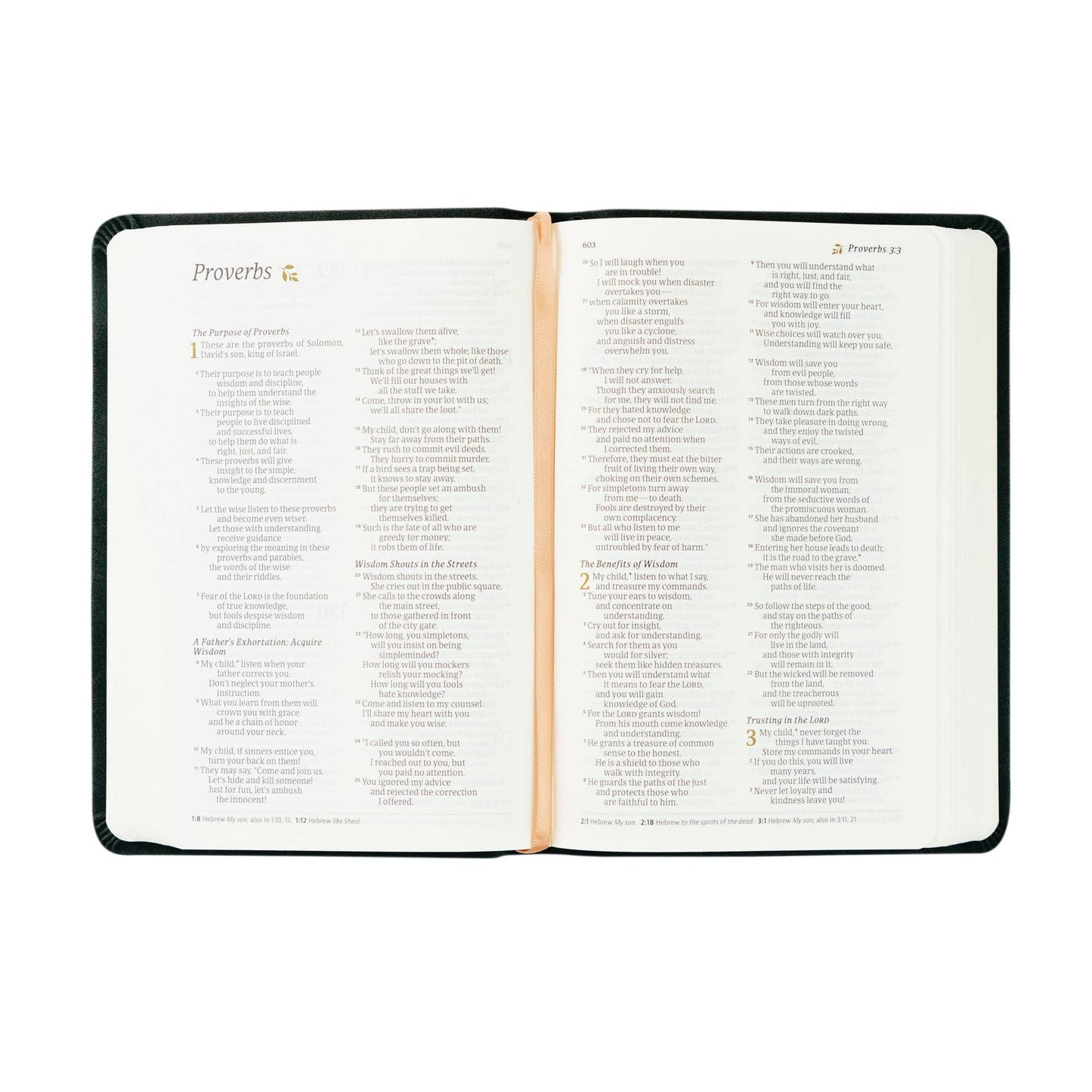 NLT Compact Bible: Jerusalem