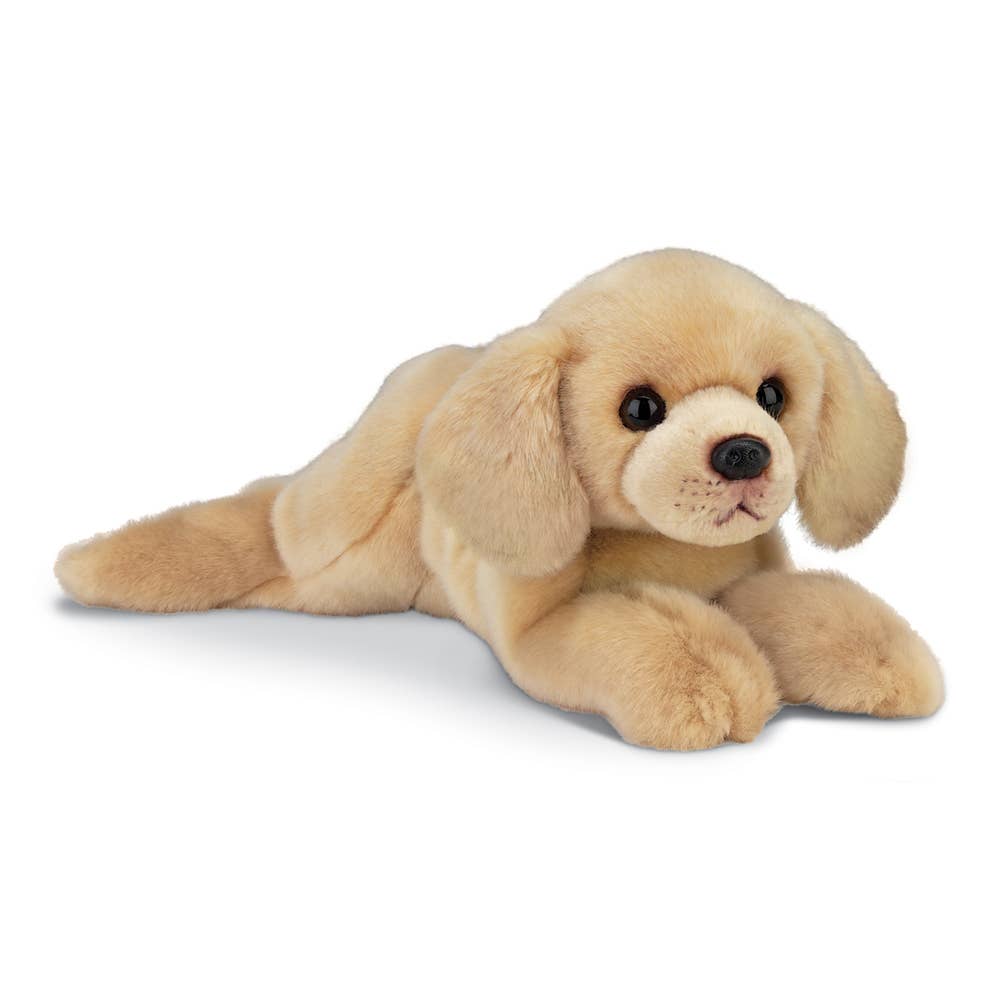 Lil' Tanner the Yellow Lab