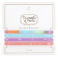 Silicone Bracelet Rainbow 4pk