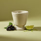 20 oz French Provincial Candle