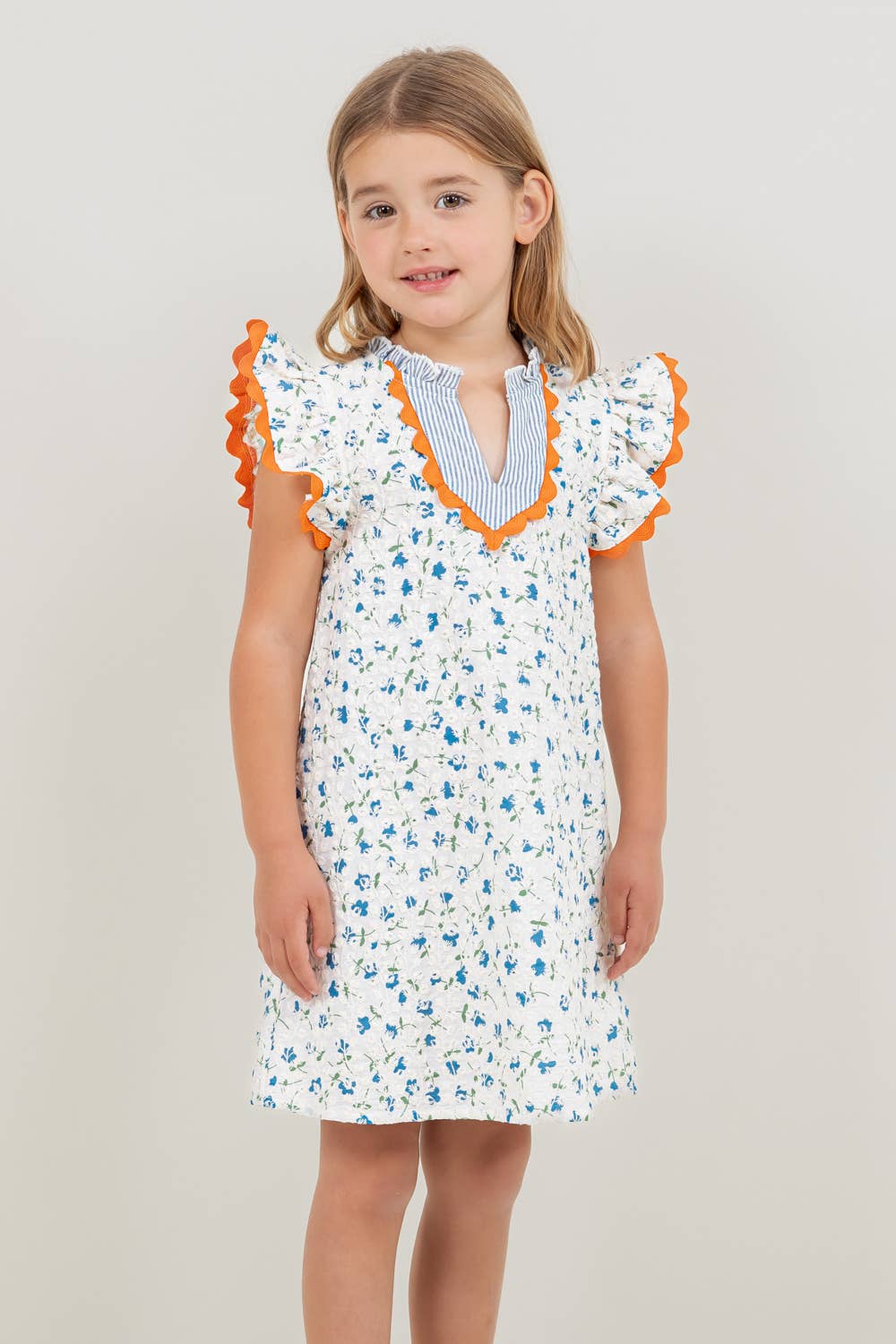 Floral Embroidered Striped Dress