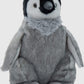 Penguin Chick