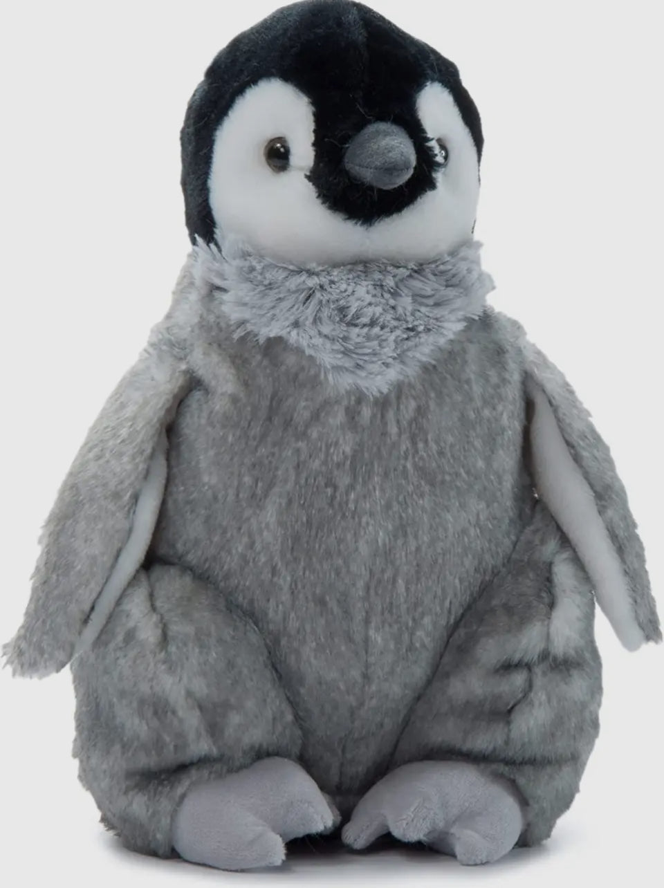 Penguin Chick