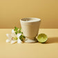 20 oz French Provincial Candle