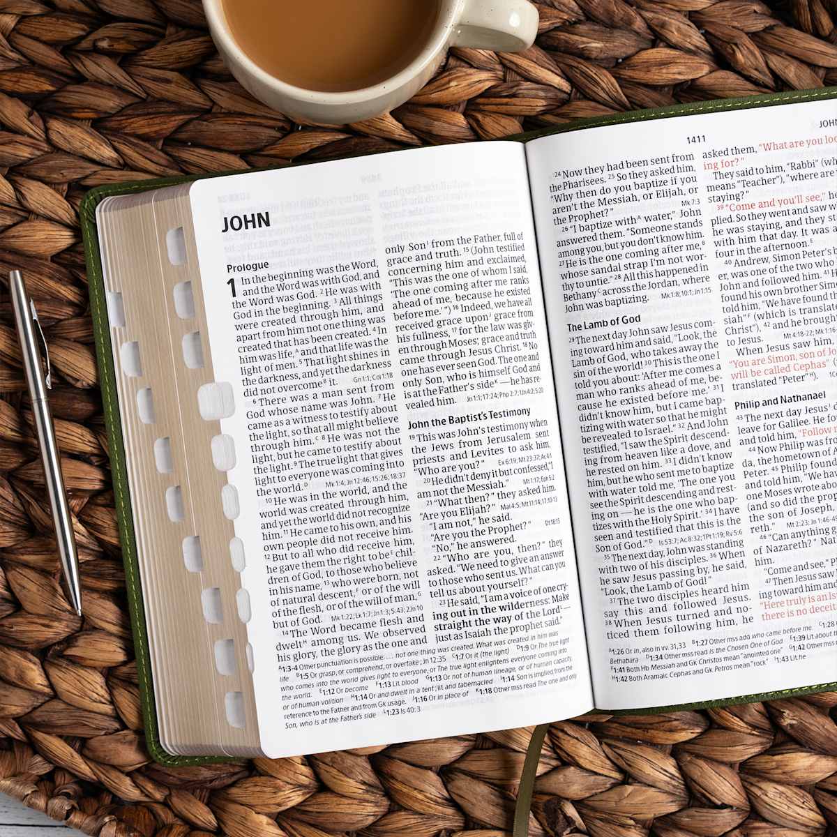 CSB Olive Leather Touch Bible
