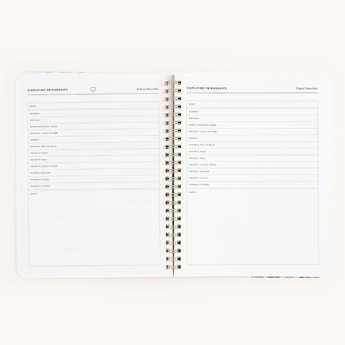 Friendship Workbook