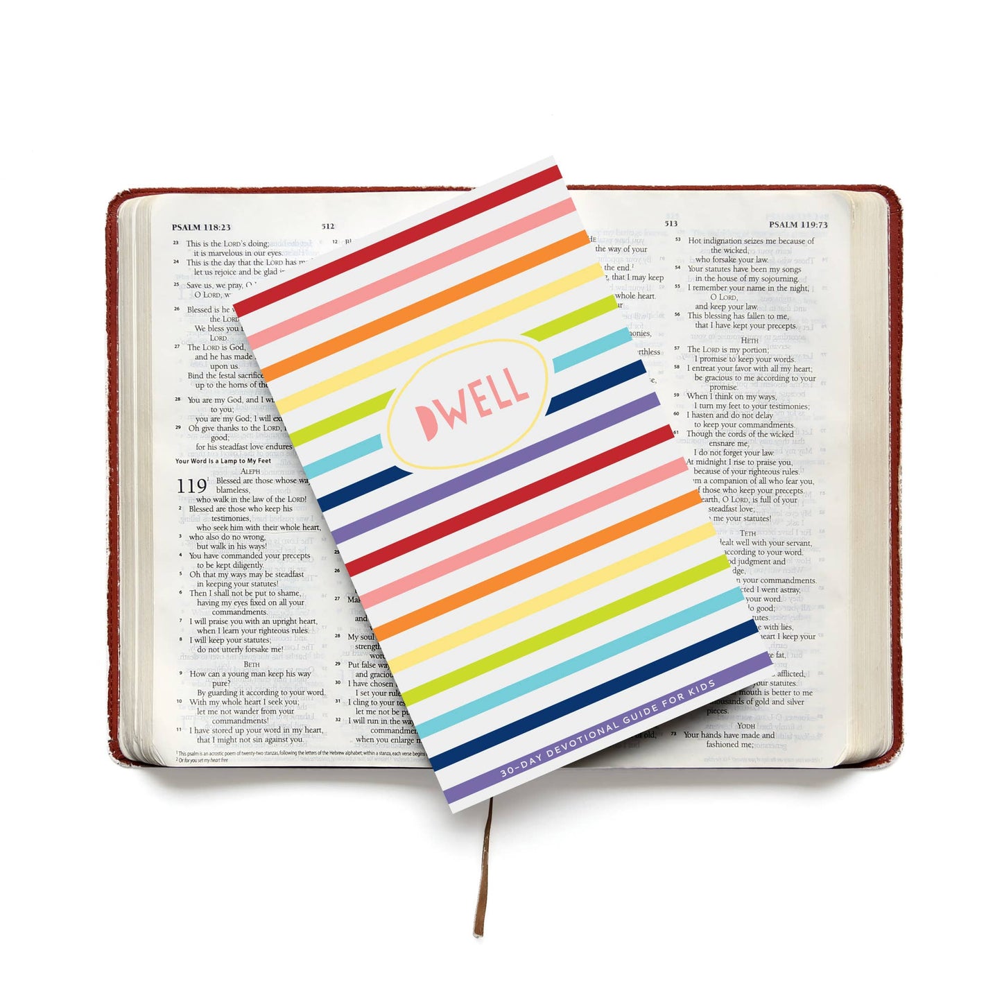 Bible Study Journal For Kids, Rainbow Stripe