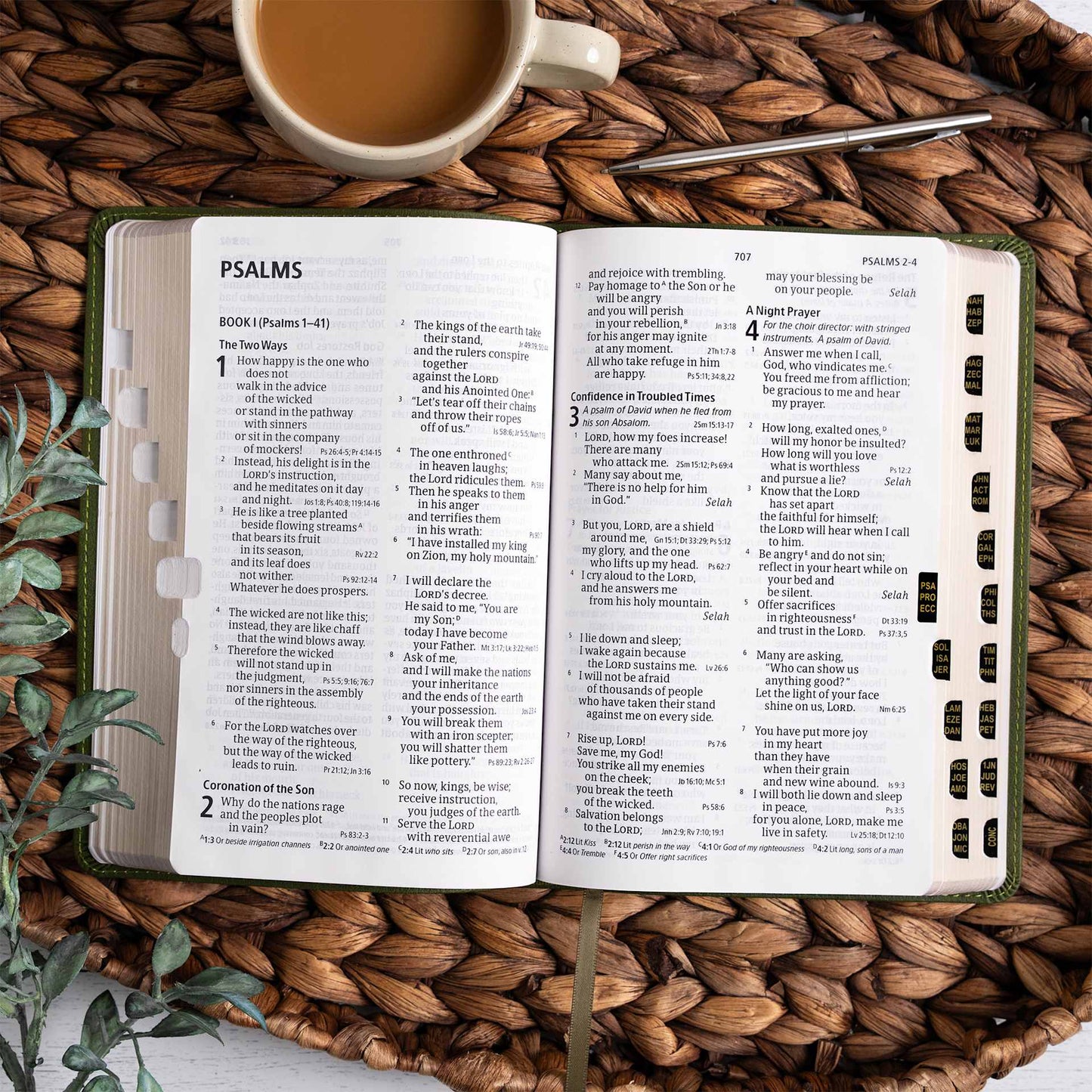 CSB Olive Leather Touch Bible