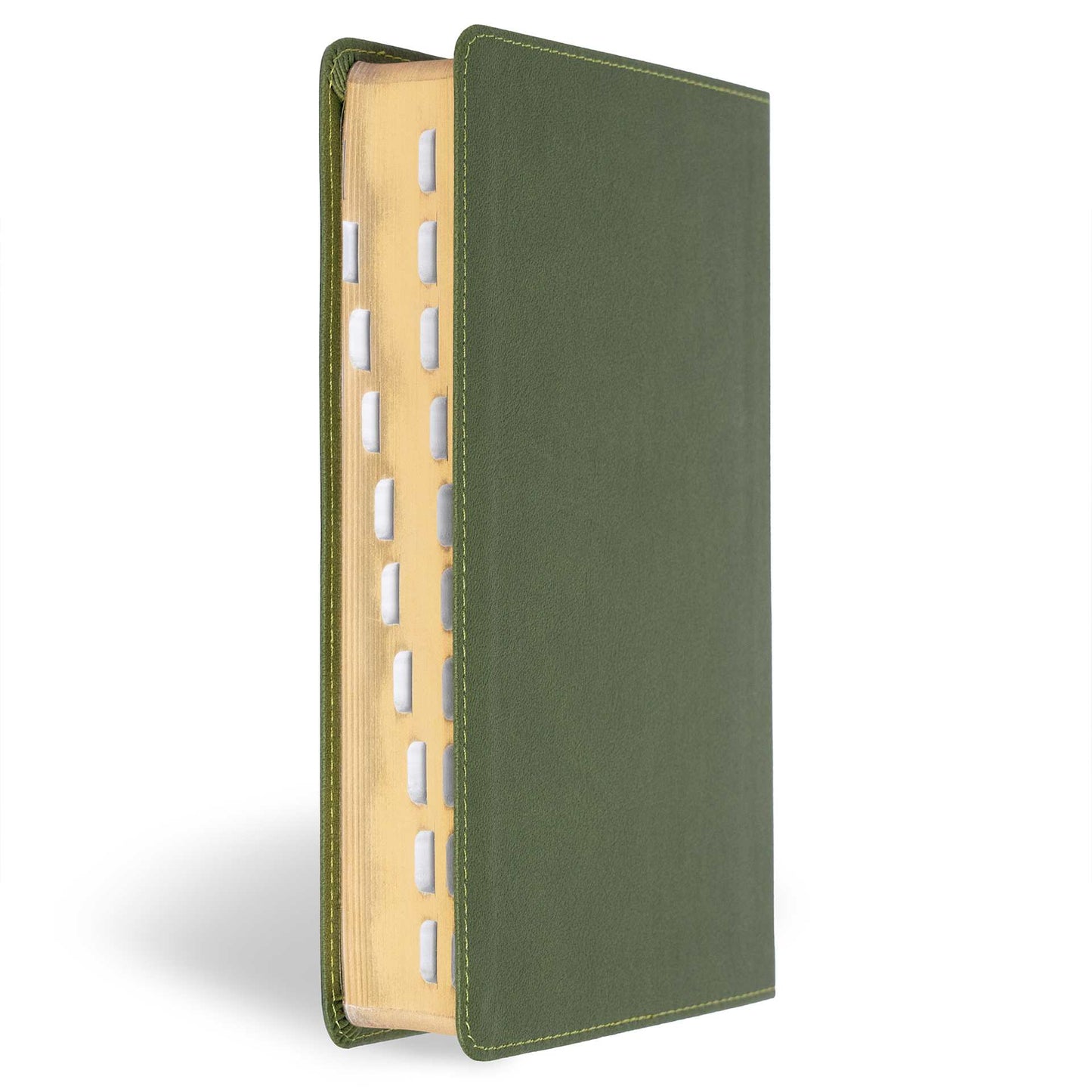 CSB Olive Leather Touch Bible