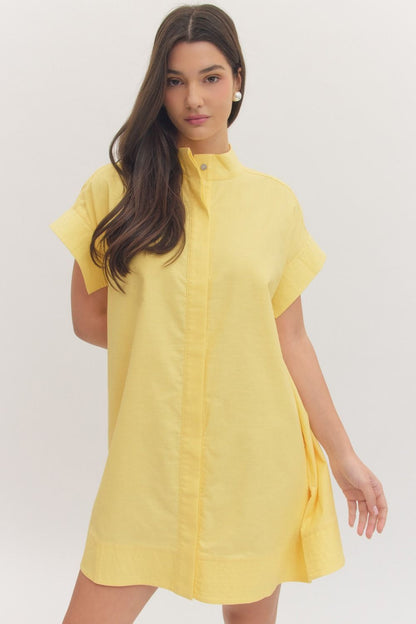 Hidden Button Placket Dress