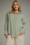 Olive Stripe Plus